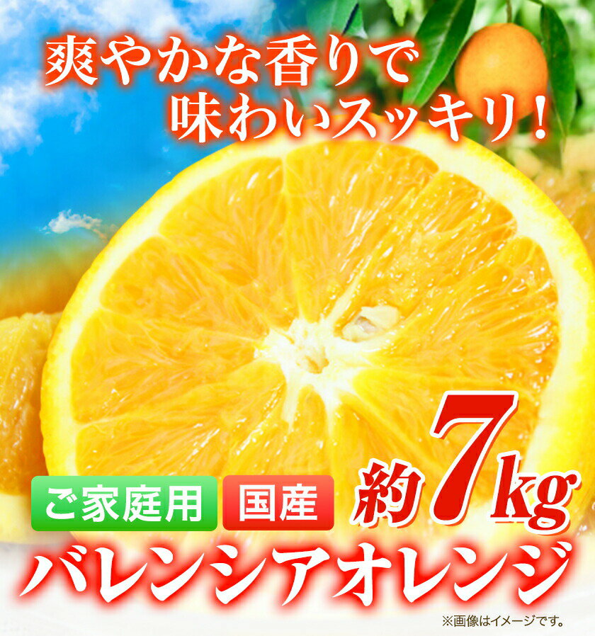【ふるさと納税】【ご家庭用訳あり】※先行予約※希少な国産バレンシアオレンジ 約7kg 株式会社魚鶴商店《2026年6月下旬-7月下旬出荷》和歌山県 日高川町