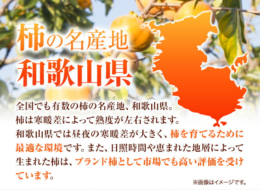 【ふるさと納税】＜先行予約＞【ご家庭用 わけあり】 和歌山 秋の味覚 富有柿 約 3.5kg 株式会社魚鶴《2025年11月上旬-12月上旬頃出荷》和歌山県 日高川町 柿 富有柿 フルーツ