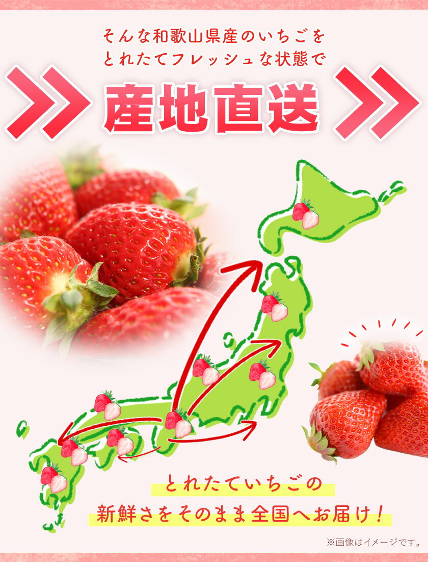 【ふるさと納税】【先行予約】紀州和歌山ブランドいちご「まりひめ」約250g×4パック 約1kg 株式会社魚鶴《2026年3月上旬-3月下旬頃より出荷予定》和歌山県 日高川町 いちご 苺 まりひめ フルーツ 果物 スイーツ 送料無料