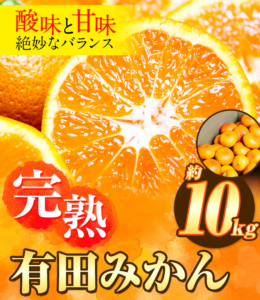 【ふるさと納税】【先行予約】完熟有田みかん 10kg 株式会社魚鶴商店《2025年11月下旬-2026年2月上旬頃出荷》和歌山県 日高川町 有田みかん ミカン 蜜柑 フルーツ 柑橘