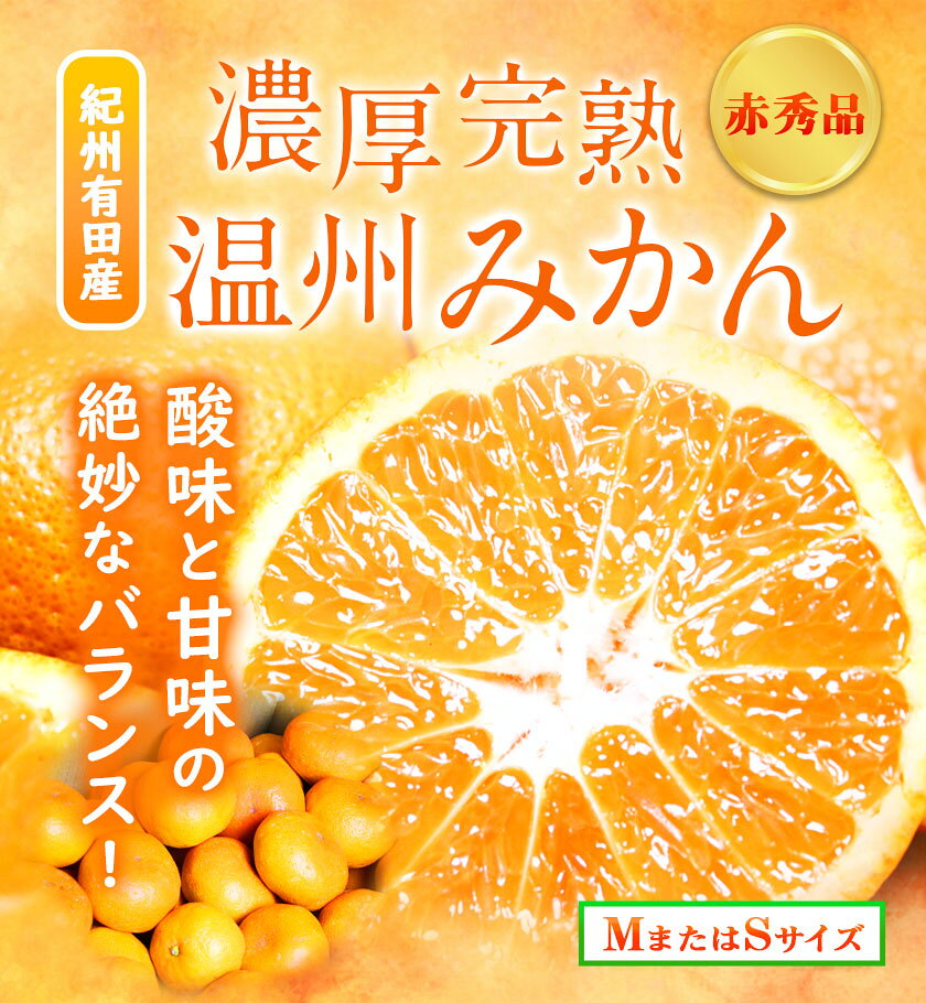 【ふるさと納税】【先行予約】赤秀品 紀州有田産 濃厚完熟温州みかん 選べる内容量 2kg 3kg (MサイズまたはSサイズ) 魚鶴商店《2026年11月下旬-2027年1月下旬頃出荷》和歌山県 日高川町 みかん ミカン 蜜柑 フルーツ 柑橘