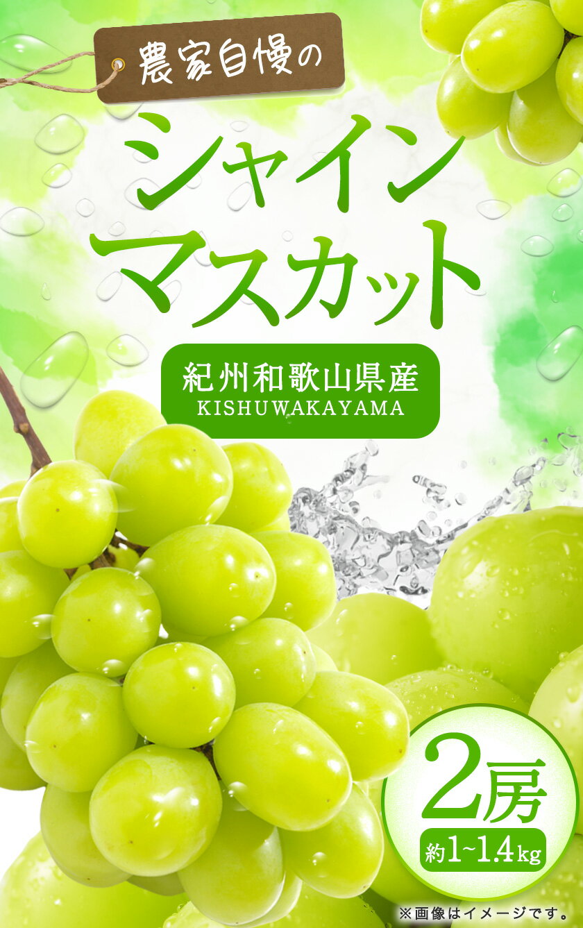 【ふるさと納税】紀州和歌山産 シャインマスカット 2房 魚鶴商店《8月上旬-9月末出荷》マスカット 和歌山県 日高川町 贈り物 ギフト ぶどう シャインマスカット