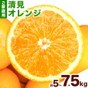 【ふるさと納税】【ご家庭用訳アリ】 紀州有田産清見オレンジ 約5kg 約7.5kg 株式会社魚鶴商店《2026年3月上旬-4月中旬頃出荷》 和歌山県 日高川町 ...
