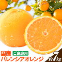 【ふるさと納税】【ご家庭用訳あり】※先行予約※希少な国産バレンシアオレンジ 約7kg 株式会社魚鶴商店《2026年6月下旬-7月下旬出荷》和歌山県 日高川町