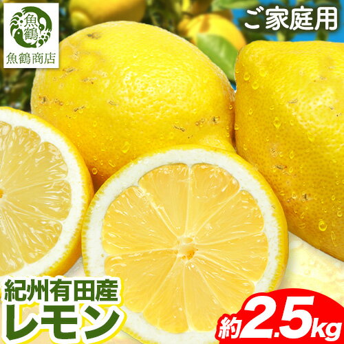 【ふるさと納税】【ご家庭用訳あり】紀州 有田産 レモン 約 2.5kg 魚鶴商店《3月上旬-3月中旬頃出荷》和歌山県 日高川町 柑橘 レモン れもん フルーツ 檸檬 【ふるさと納税】【ご家庭用訳あり】紀州 有田産 レモン 約 2.5kg 魚鶴商店《3月上旬-3月中旬頃出荷》和歌山県 日高川町 柑橘 レモン れもん フルーツ 檸檬