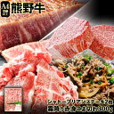 熊野牛A4以上 ヒレシャトーブリアンステーキ 200g(100g×2枚) & 霜降り赤身こま切れ300g 株式会社魚鶴商店《30日以内に出荷予定(土日祝除く)》和歌山県 日高川町 熊野牛 黒毛和牛 A4等級以上 霜降り 肩ロース