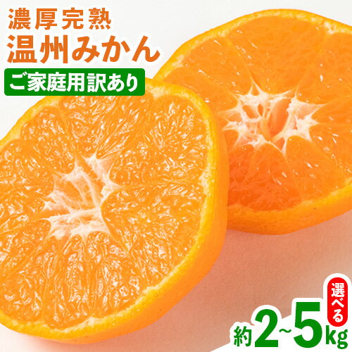 【ふるさと納税】【先行予約】【ご家庭用訳アリ】 紀州有田産 濃厚完熟温州みかん 選べる内容量 約2kg 約5kg 魚鶴商店《2025年11月下旬-2026年2月...