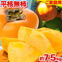 【ふるさと納税】ご家庭用 和歌山秋の味覚平核無柿(ひらたねなしがき)約7.5kg 株式会社魚鶴商店《10月上旬-11月上旬頃出荷》 和歌山県 日高川町 柿 カキ...
