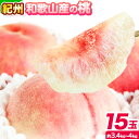 【ふるさと納税】桃 もも 紀州 和歌山産 の 桃 15玉 ( 約 3.4kg ~ 4kg ) 魚鶴商店《7月上旬-8月下旬頃出荷》 和歌山県 日高川町 フルーツ...