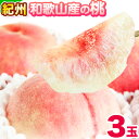 【ふるさと納税】【2026年先行予約】桃 もも 紀州 和歌山産 の 桃 3玉 化粧箱入 魚鶴商店《2026年6月下旬-8月上旬頃よりに発送予定(土日祝除く)》 和歌山県 日高川町 贈り物 ギフト