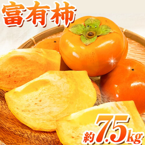【ふるさと納税】<先行予約>和歌山 秋の味覚 富有柿 約7.5kg 株式会社魚鶴《2025年11月上旬-12月上旬頃出荷》和歌山県 日高川町 柿 富有柿 フルーツ
