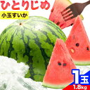 【ふるさと納税】紀州和歌山産 小玉スイカ 「ひとりじめ」 1玉 魚鶴商店《6月上旬-7月上旬頃出荷》 和歌山県 日高川町 スイカ スイーツ フルーツ