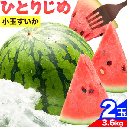 【ふるさと納税】紀州和歌山産 小玉スイカ 「ひとりじめ」 2玉 魚鶴商店《6月上旬-7月上旬頃出荷》 和歌山県 日高川町 スイカ スイーツ フルーツ