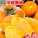 【ふるさと納税】秀品 和歌山秋の味覚平核無柿(ひらたねなしがき)約4kg 化粧箱入 株式会社魚鶴商店《10月上旬-11月上旬頃出荷》 和歌山県 日高川町 柿 カキ かき たねなし ジューシー フルーツ