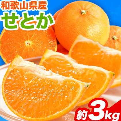 【ふるさと納税】【先行予約】 とろける食感!ジューシー柑橘 せとか 約3kg 株式会社魚鶴《2026年2月下旬-3月下旬頃出荷》 和歌山県 日高川町 みかん 柑橘 果物 フルーツ 送料無料