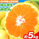 【ふるさと納税】みかん 先行予約 紀州和歌山有田産ゆら早生みかん5kg 株式会社魚鶴商店《2025年10月上旬-11月上旬頃出荷》和歌山県 日高川町 早生みかん 旬 柑橘 フルーツ 果物 ミカン 柑 産地直送 送料無料(4)