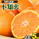 【ふるさと納税】【先行予約】紀州有田産不知火( デコポン と同品種 ) 選べる 約 5kg 約 2.5kg 株式会社魚鶴《2026年2月中旬-3月中旬頃出荷》 ...