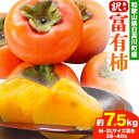 【ふるさと納税】<先行予約>【訳あり】富有柿 約7.5kg ( 28〜40玉 M~2Lサイズ混合 ) 山本農園 《2025年10月下旬-12月上旬頃出荷》 和歌...