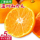 【ふるさと納税】みかん 温州みかん ご家庭用 5kg サイズ混合 GOGO農園《11月上旬-1月中旬頃出荷》 和歌山県 日高川町 うんしゅうみかん みかん 柑橘 蜜柑 フルーツ 送料無料