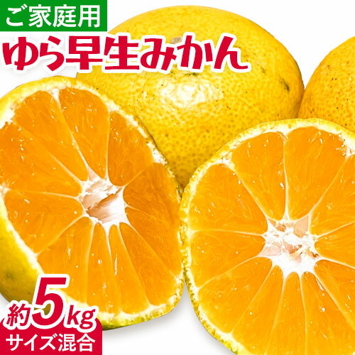 【ふるさと納税】<2025年出荷先行予約>みかん ゆら早生みかん ご家庭用 5kg サイズ混合 GOGO農園《2025年10月上旬-11月末頃出荷》 和歌山県 日高川町 ゆら早生みかん みかん 早生 柑橘 蜜柑 フルーツ 送料無料