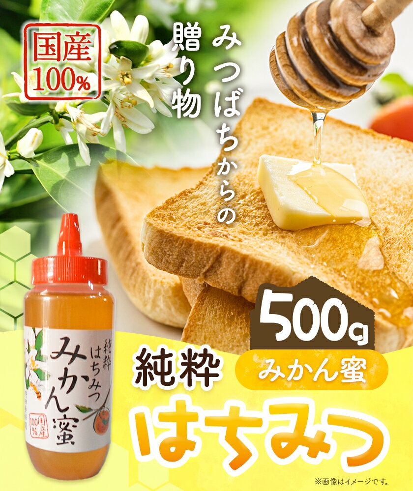 【ふるさと納税】蜂蜜 国産 100％ 純粋 はちみつ みかん蜜 500g スマイル《30日以内に出荷予定(土日祝除く)》和歌山県 日高川町 蜂蜜 みかん ハチミツ 天然 国産 蜜柑