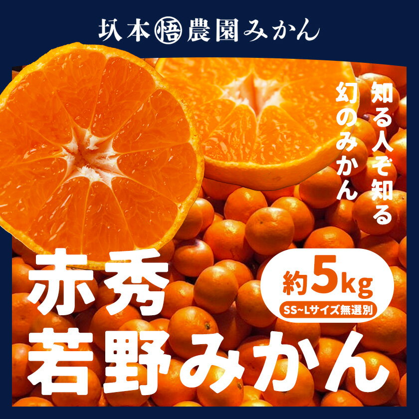 【ふるさと納税】 赤秀 若野みかん 約 5kg（サイズ無選別）《2025年12月上旬-2月中旬頃出荷》圦本悟農園 和歌山県 日高川町 旬 新鮮 果物 柑橘 フルーツ 国産 送料無料 ミカン みかん 温州みかん