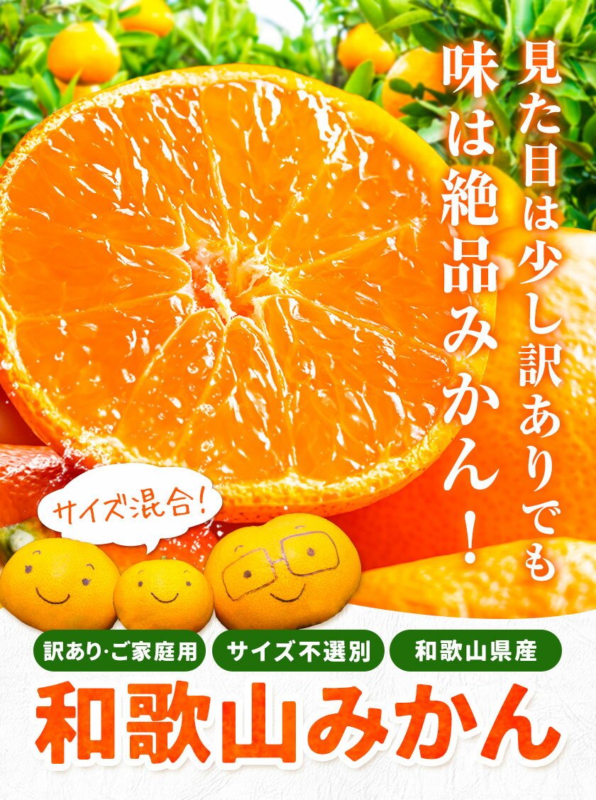 【ふるさと納税】《限定小玉みかん規格登場！》和歌山県産 訳あり みかん (3S～3L) 選べる内容量 約1.5kg 約5kg 約10kg《11月上旬-12月末頃出荷》和歌山県 日高川町 果物 フルーツ 訳ありみかん 家庭用 お試し 大容量 みかん 5kg みかん 10kg 5,000円以下