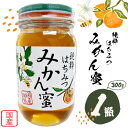 【ふるさと納税】みかん蜂蜜 蜂蜜 300g 1本 野田養蜂園《60日以内に出荷予定(土日祝除く)》和歌山県 日高川町 蜂蜜 みかん ハニー はちみつ 蜜 ハチミ...