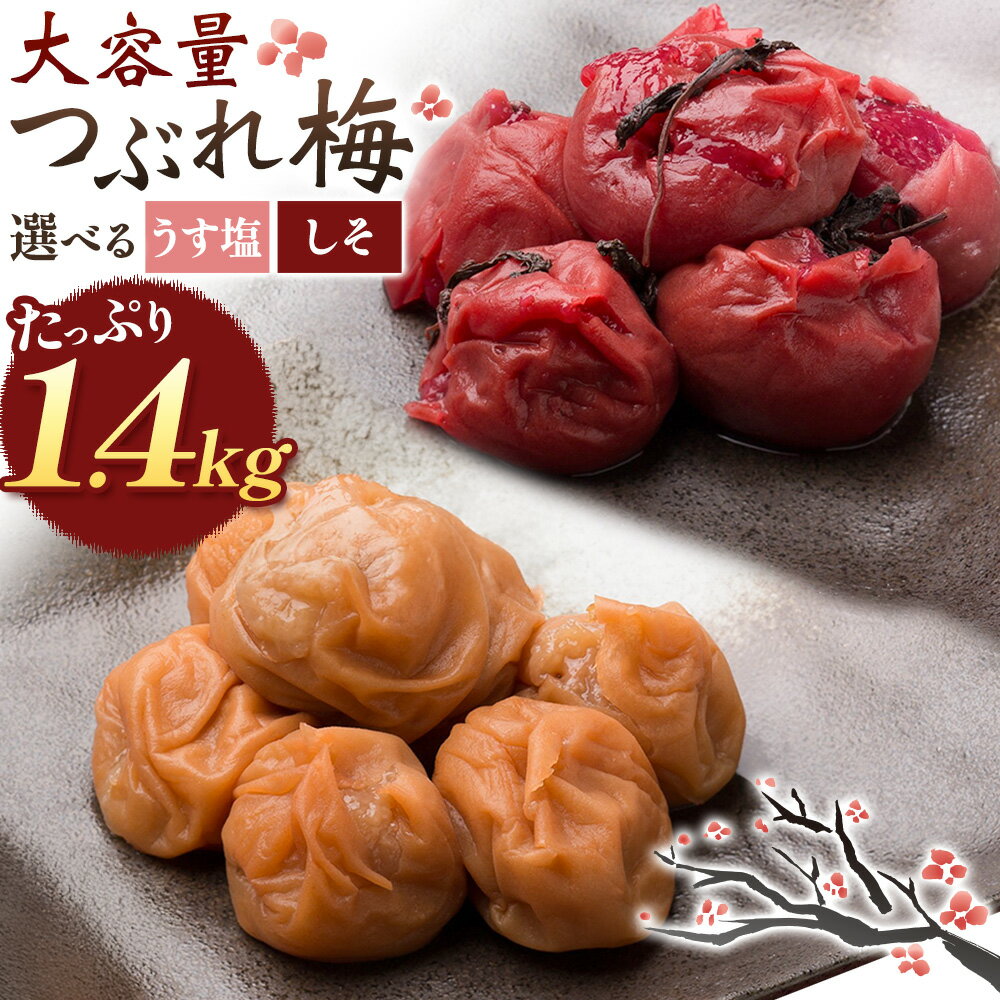 【ふるさと納税】梅干し 紀州南高梅 つぶれ梅 大容量 花 うす塩 しそ 1.4kg 700g ×2パック 《60日以内に出荷予定(土日祝除く)》 株式会社やまだ 和歌山県 日高川町 梅 塩 梅干 うめぼし 米 おかず しそ漬 国産 送料無料