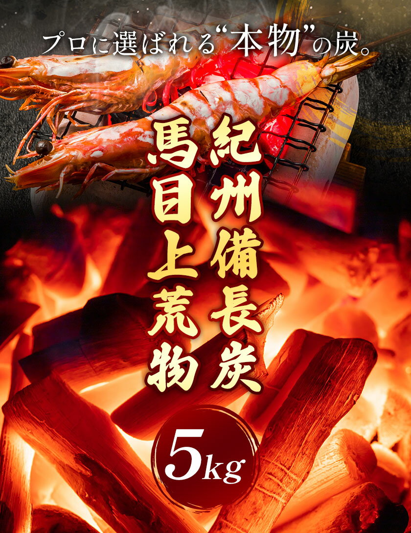 【ふるさと納税】紀州備長炭 炭 備長炭 馬目上 荒物 5kg 紬商店《30日以内に出荷予定(土日祝除く)》和歌山県 日高川町 送料無料 備長炭 紀州備長炭 炭 高火力 BBQ 焼肉 炭火焼き キャンプ レジャー 国産 火起こし 高品質