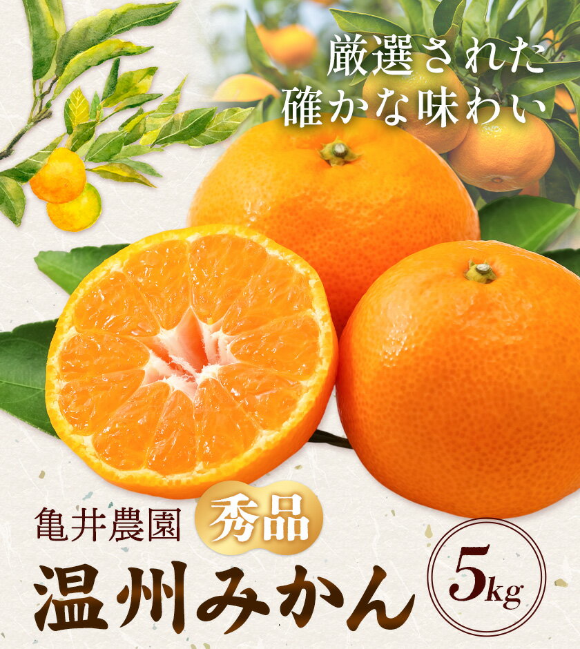 【ふるさと納税】温州みかん 約5kg 秀品 亀井農園 《11月上旬-1月中旬出荷予定(土日祝除く)》和歌山県 日高川町 柑橘類 柑橘 果物 フルーツ ミカン みかん 温州