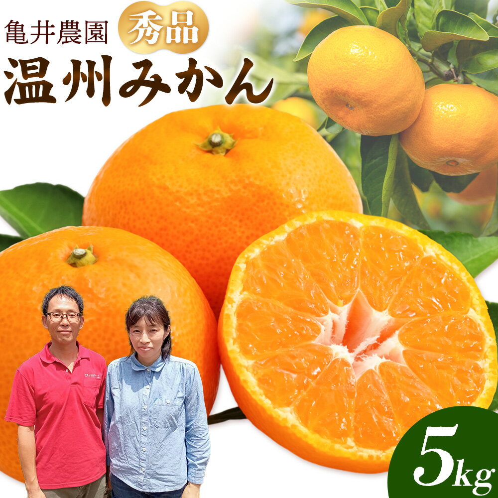 温州みかん 約5kg 秀品 亀井農園 [11月上旬-1月中旬出荷予定(土日祝除く)]和歌山県 日高川町 柑橘類 柑橘 果物 フルーツ ミカン みかん 温州