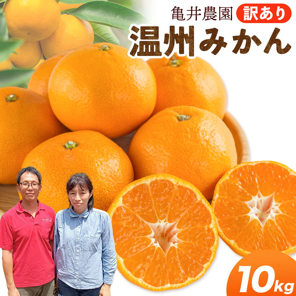 温州みかん 10kg 訳あり品 亀井農園 [11月上旬-1月中旬出荷予定(土日祝除く)]和歌山県 日高川町 柑橘類 柑橘 果物 フルーツ ミカン みかん 温州