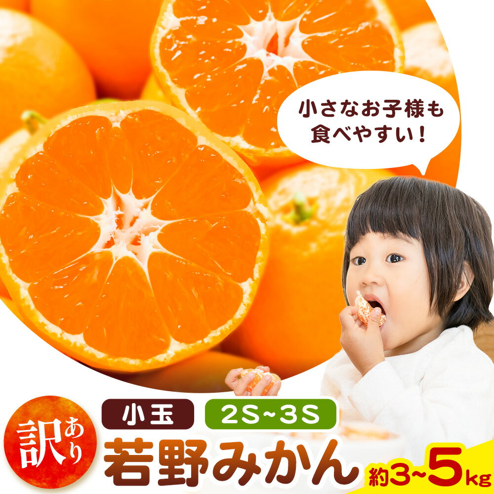 和歌山県産 訳あり 小玉若野みかん (2S-3Sサイズ) みかん 小玉 選べる内容量 約3kg 約5kg[11月下旬-12月下旬頃出荷] マルエイ農園 和歌山県 日高川町 果物 フルーツ 訳ありみかん 家庭用 みかん 3kg 5kg みかん