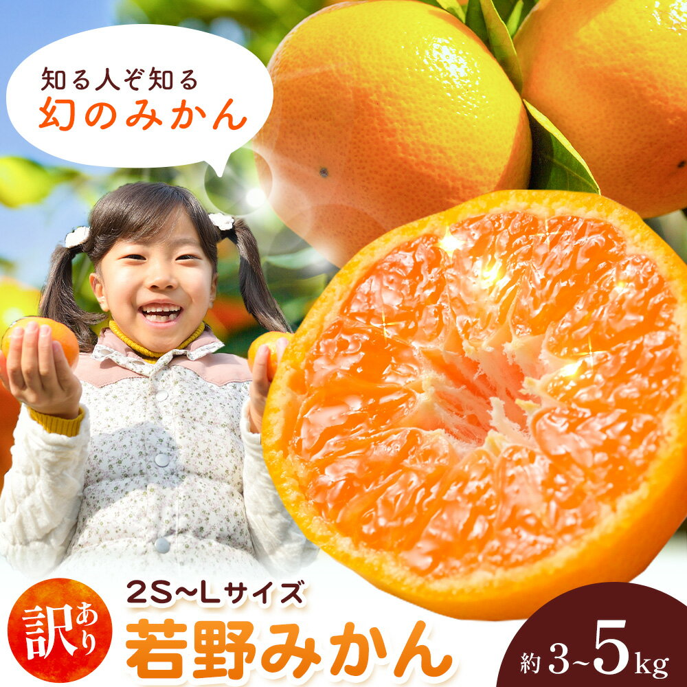 和歌山県産 訳あり 若野みかん (2S〜Lサイズ) みかん 選べる内容量 約3kg 約5kg[11月下旬-12月下旬頃出荷] マルエイ農園 和歌山県 日高川町 果物 フルーツ 訳ありみかん 家庭用 みかん 3kg 5kg みかん