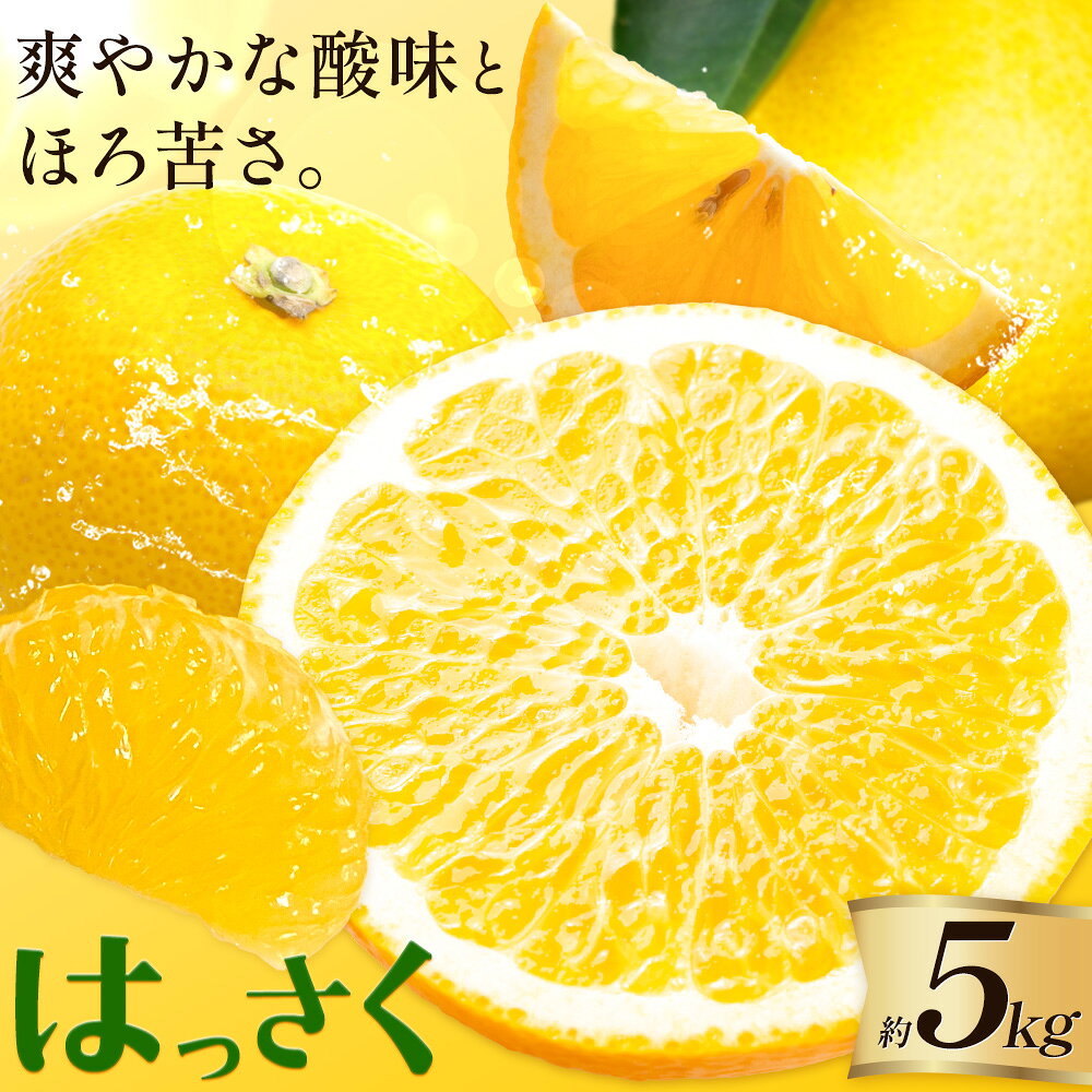 八朔 はっさく 柑橘類 約 5kg 5キロ 大小 サイズ混合 たまき果樹園[2月上旬-3月中旬頃出荷]和歌山県 日高川町 送料無料 柑橘 かんきつ ハッサク みかん フルーツ 果物 お取り寄せフルーツ