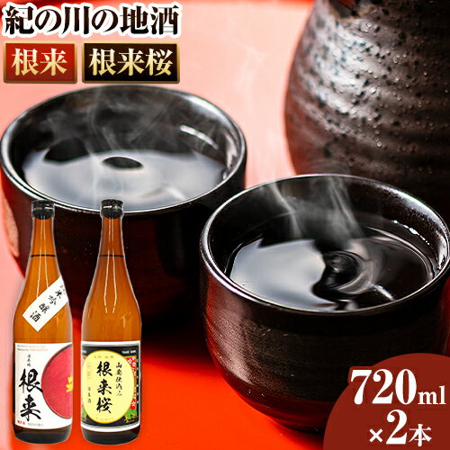 【ふるさと納税】純米吟醸酒「根来」と長期熟成山廃仕込み「根来桜」各720ml×2本セット 日高川町厳選館(株式会社ティーエムテック)《90日以内に出荷予定(土日祝除く)》和歌山県 日高川町 酒 日本酒 アルコール 根来 送料無料