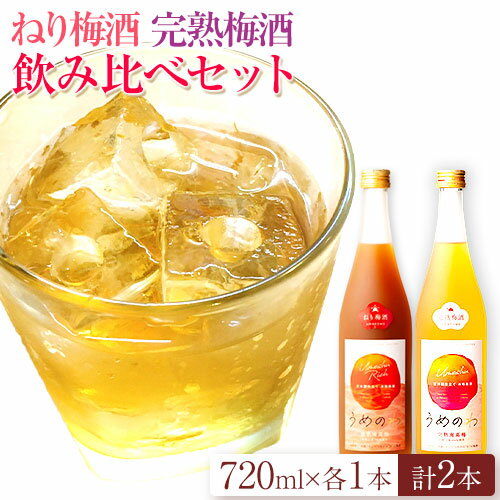 【ふるさと納税】紀州完熟南高梅 ねりうめ酒 完熟梅酒 飲み比べセット 720ml×2本 厳選館 《90日以内に出荷予定(土日祝除く)》 和歌山県 日高川町 酒 さけ お酒 飲み比べ 梅酒 1440ml