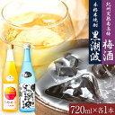 【ふるさと納税】本格米焼酎 黒潮波 (くろしおなみ) と 紀州完熟南高梅 梅酒 720ml×各1本 2本セット 厳選館《90日以内に出荷予定(土日祝除く)》 和...