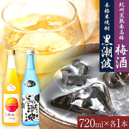 本格米焼酎 黒潮波 （くろしおなみ） と 紀州完熟南高梅 梅酒 720ml×各1本 2本セット 厳選館《90日以内に出荷予定(土日祝除く)》 和歌山県 日高川町 酒 梅酒 焼酎 米焼酎 果実酒