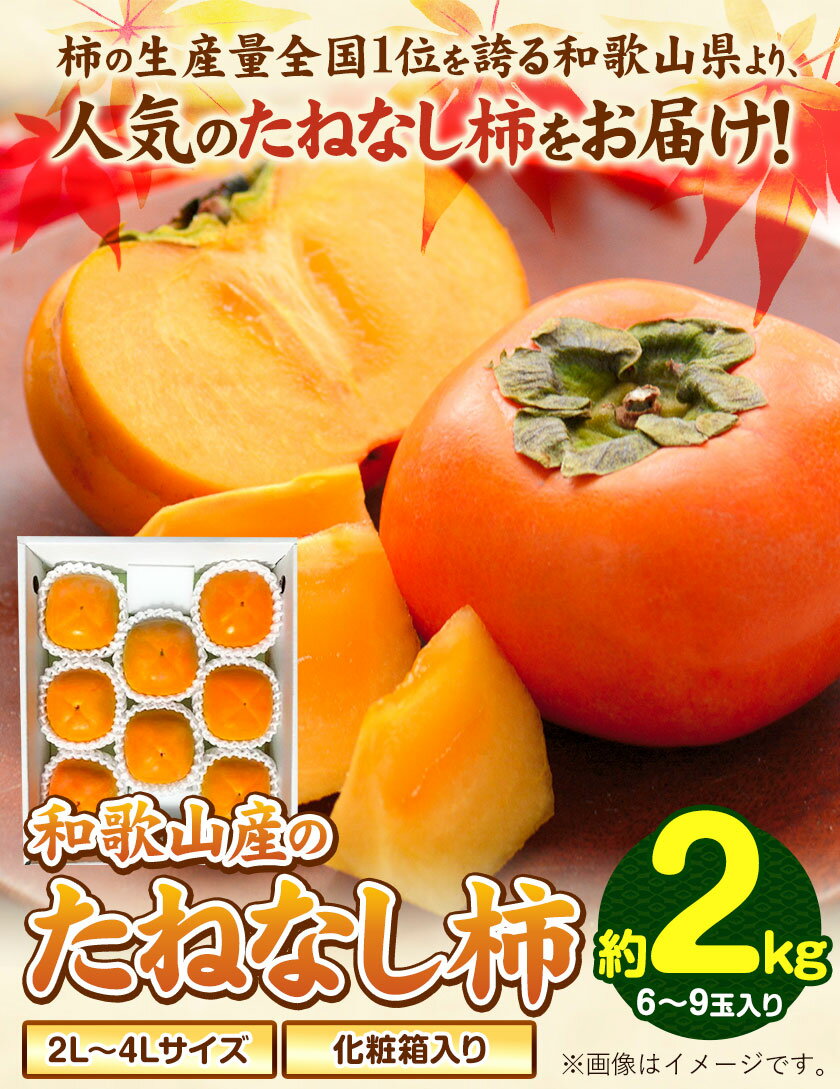 【ふるさと納税】【秋の味覚】＜先行予約＞ 和歌山産の たねなし 柿 2L〜4Lサイズ 約 2kg （化粧箱入り） 厳選館 《9月上旬-11月下旬頃出荷》 和歌山県 日高川町 柿 カキ かき ジューシー フルーツ たねなし