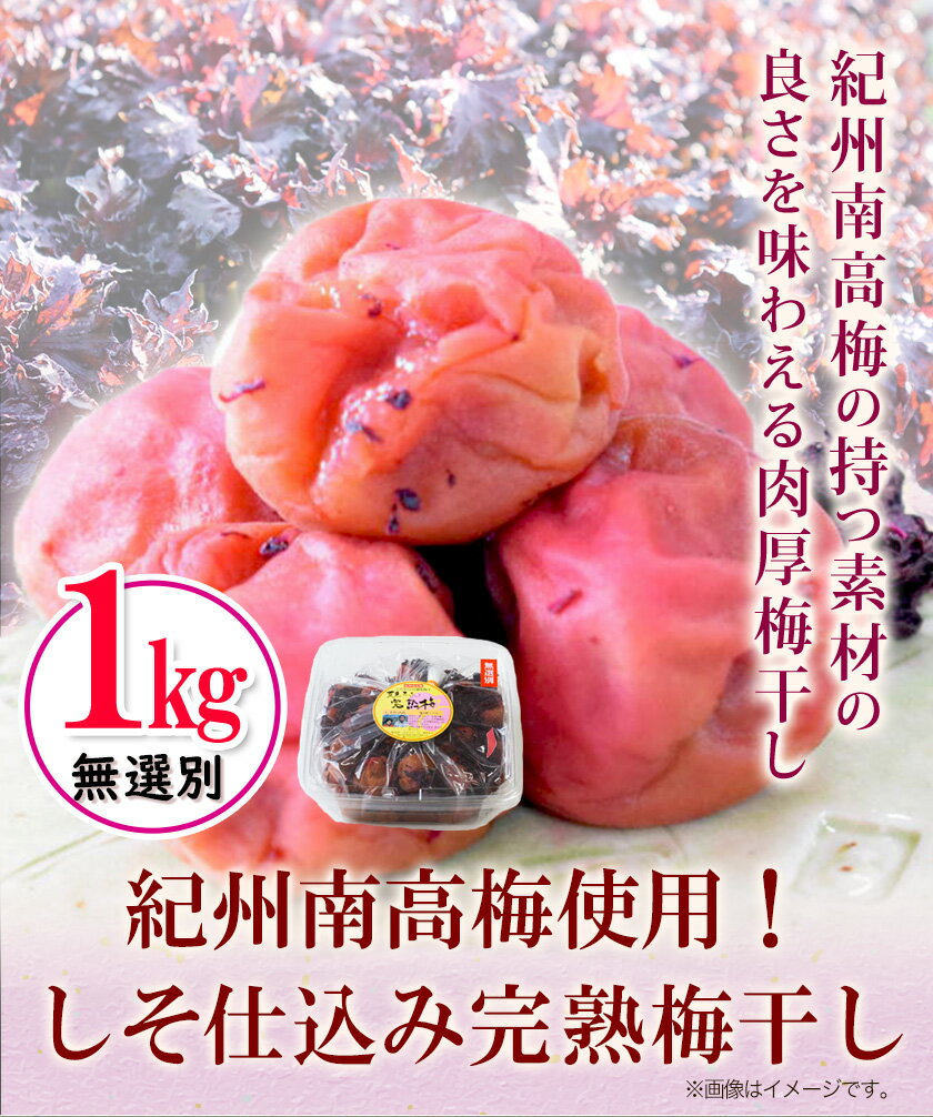 【ふるさと納税】紀州南高梅使用 しそ仕込み完熟梅干し 無選別 1kg 厳選館 《90日以内に出荷(土日祝除く)》 和歌山県 日高川町 紀州南高梅 しそ仕込み 梅干し