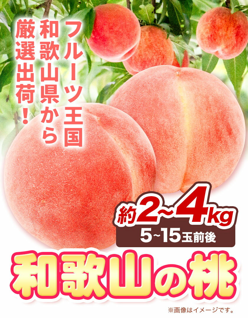 【ふるさと納税】和歌山の 桃 秀選品 選べる内容量 約 2kg または 約 4kg 厳選館【配送不可地域あり】《2025年6月末-8月下旬より出荷》和歌山県 日高川町 果物 フルーツ 桃 もも 送料無料