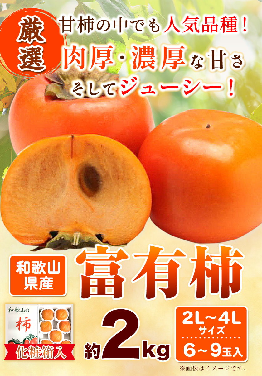 【ふるさと納税】［厳選・産直］和歌山産 の 富有柿 約 2kg（ 化粧箱 入り ）（2L～4Lサイズ） 厳選館《2024年11月上旬-12月下旬頃出荷》和歌山県 日高川町 富有柿 贈答用 柿 かき 果物 ギフト フルーツ