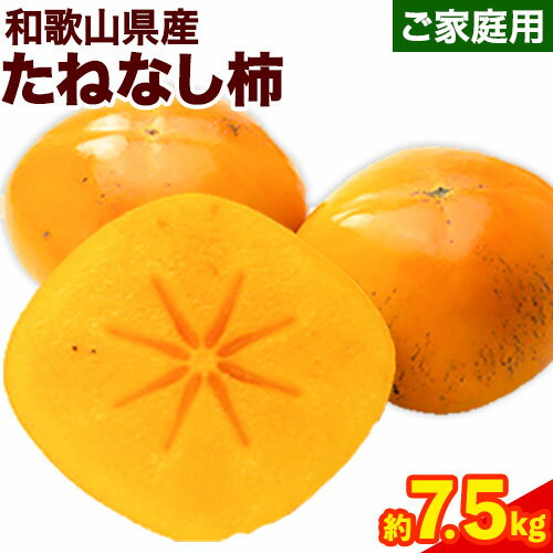 【先行予約】【ふるさと納税】<先行予約>【秋の味覚】 和歌山 産 の たねなし 柿 ご家庭用 約7.5kg 厳選館 《2025年9月上旬-11月中旬頃出荷》 和歌山県 日高川町 厳選館 柿 カキ かき ジューシー フルーツ たねなし