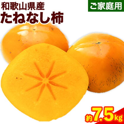 【秋の味覚】 和歌山 産 の たねなし 柿 ご家庭用 約 7.5kg 厳選館 《2024年9月下旬-11月中旬頃出荷》 和歌山県 日高川町 柿 カキ かき ジューシー フルーツ たねなし