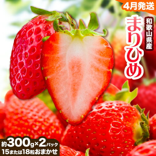 【ふるさと納税】【4月発送】和歌山県産ブランド いちご「まりひめ」約300g×2パック (15または18粒おまかせ) 日高川町厳選館《4月上旬-4月末頃出荷予定》和歌山県 日高川町 送料無料 苺 鞠姫 マリヒメ フルーツ 果物 お取り寄せ 【配送不可地域あり】