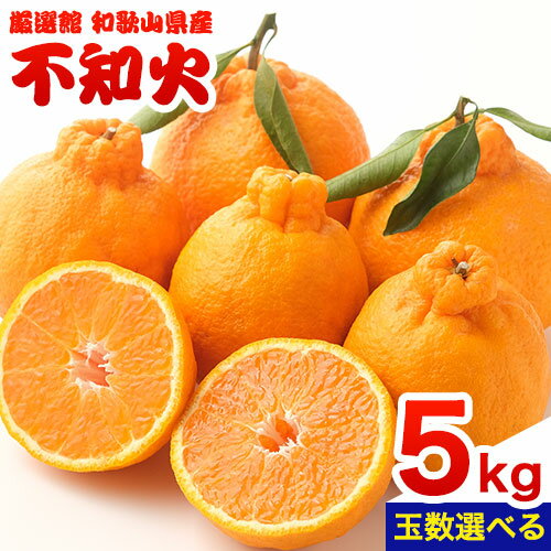 【ふるさと納税】和歌山県産 不知火 選べる 約5kg 厳選館《2月中旬-4月上旬頃出荷》和歌山県 日高川町 デコポン でこぽん 柑橘 不知火 しらぬい 大玉 送料無料 【ふるさと納税】和歌山県産 不知火 選べる 約5kg 厳選館《2月中旬-4月上旬頃出荷》和歌山県 日高川町 デコポン でこぽん 柑橘 不知火 しらぬい 大玉 送料無料