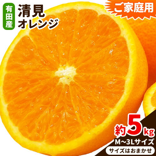 【ふるさと納税】【ご家庭用】有田産 清見 オレンジ約 5kg(M〜3Lサイズおまかせ) 日高川町厳選館 先行予約《2026年2月中旬-3月末頃より出荷予定》和歌山県 日高川町 柑橘 果物 フルーツ 清見オレンジ 【ふるさと納税】【ご家庭用】有田産 清見 オレンジ約 5kg(M〜3Lサイズおまかせ) 日高川町厳選館 先行予約《2026年2月中旬-3月末頃より出荷予定》和歌山県 日高川町 柑橘 果物 フルーツ 清見オレンジ