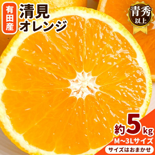 【ふるさと納税】【濃厚】有田産 清見 オレンジ 約 5kg(M〜3Lサイズおまかせ)青秀以上 日高川町厳選館《2026年2月中旬-3月末頃より出荷予定》和歌山県 日高川町 柑橘 果物 フルーツ 清見オレンジ
